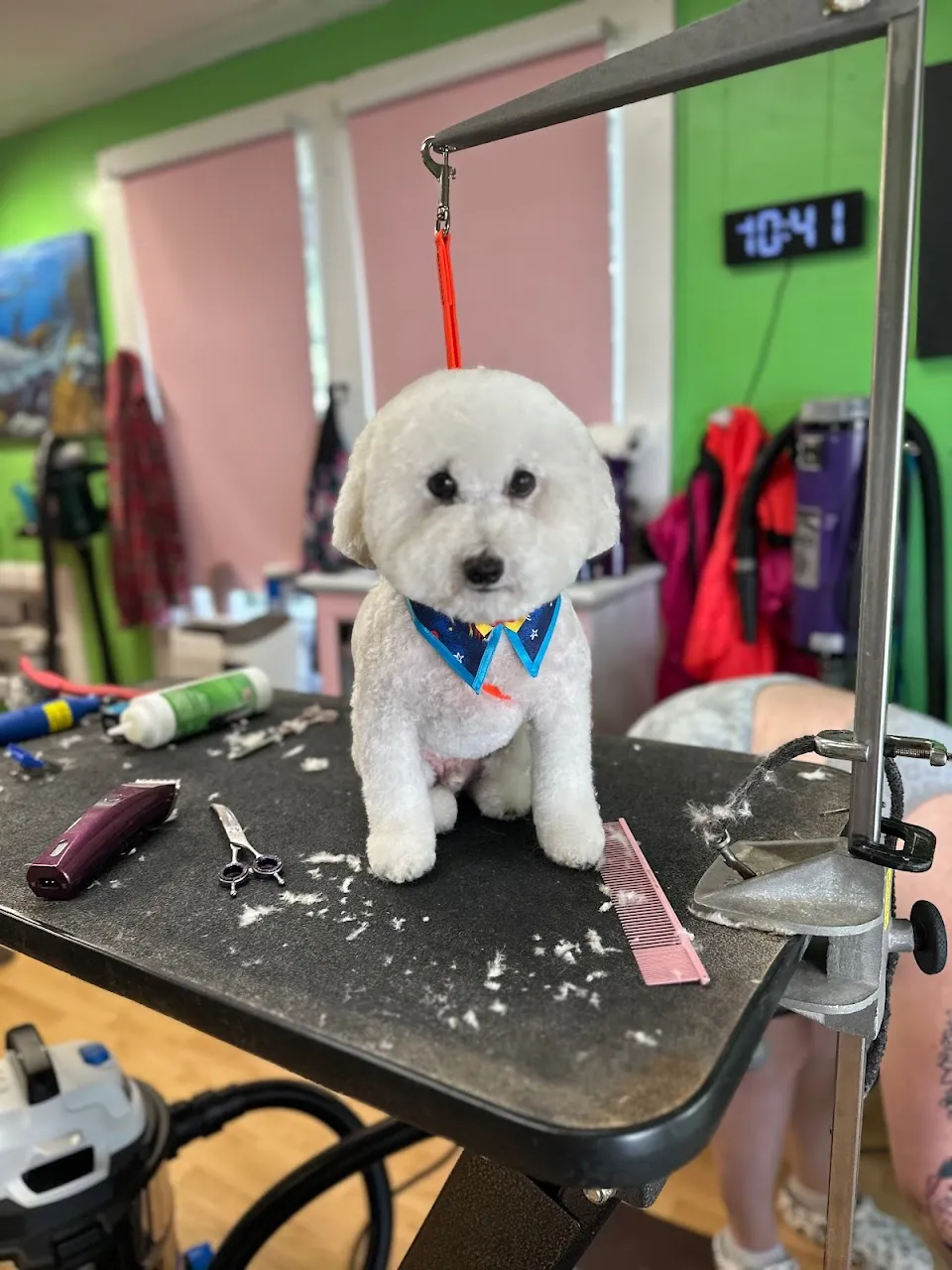 Fantastic Pawz Professional Dog Groomers