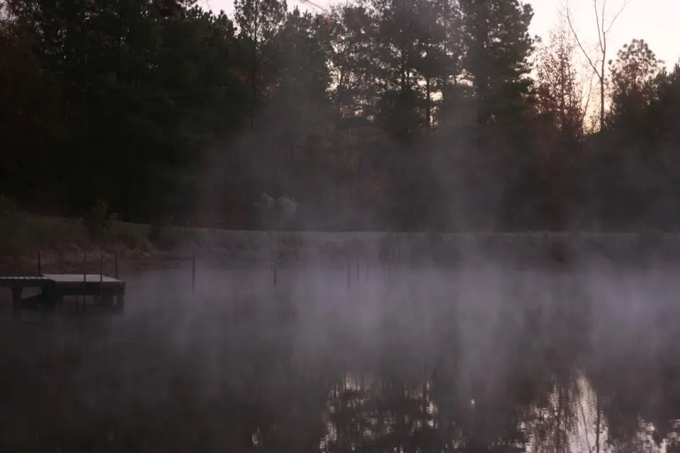Seed Lake