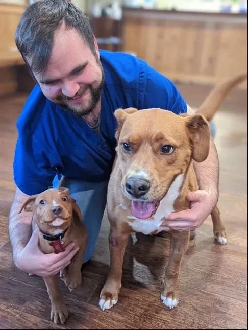 Clayton Veterinary Hospital