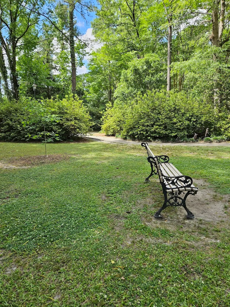 Turtle Pond