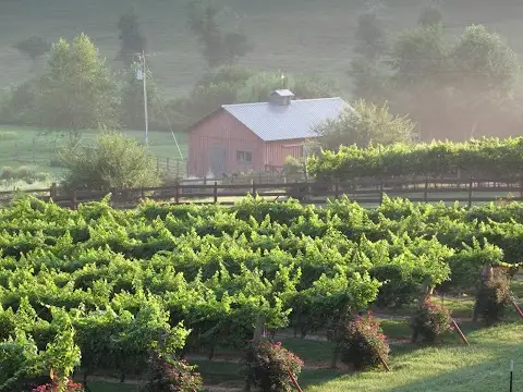 Stonewall Creek Vineyards