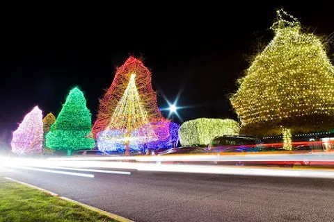 Fantasy Of Lights