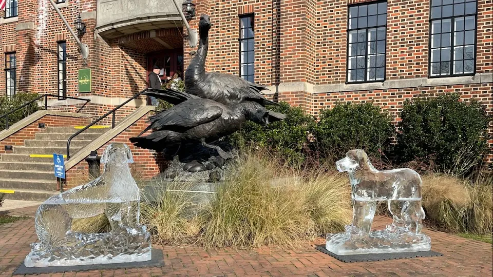 Waterfowl Building