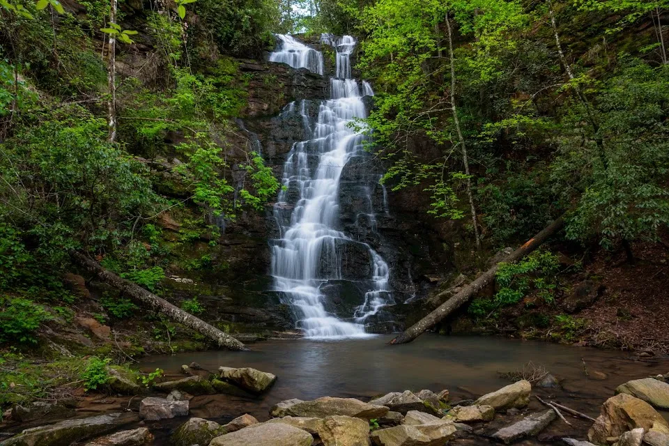 Reedy Branch Falls Trailhead
