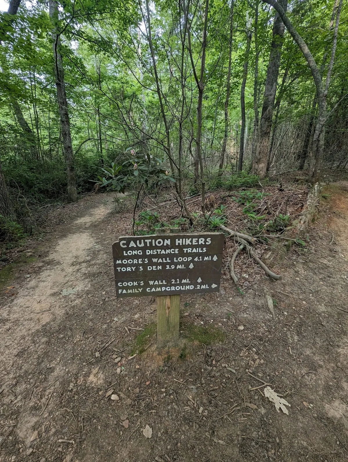 Moore's Wall Loop Trail