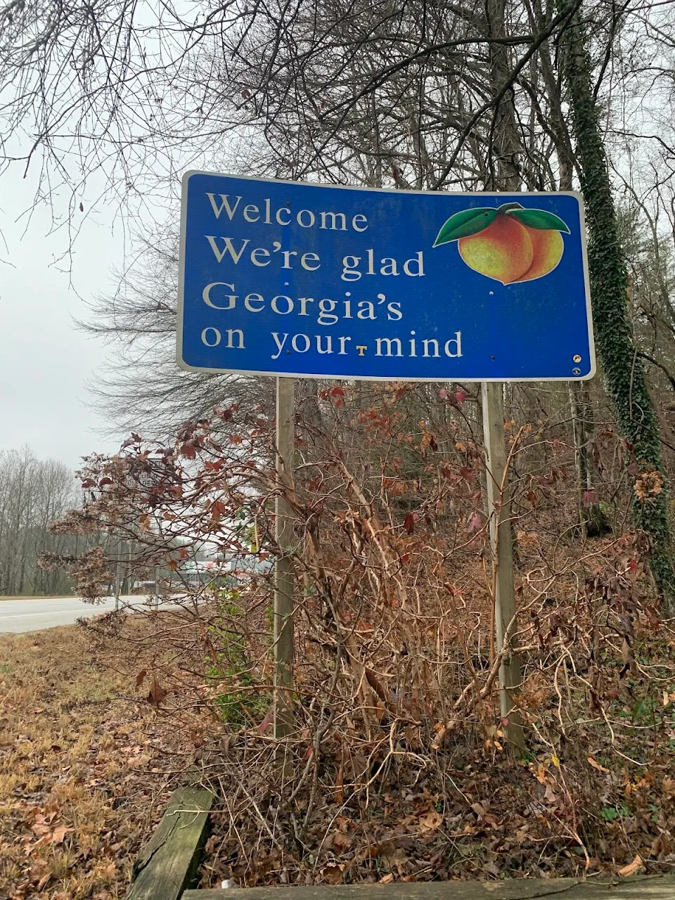 Georgia Welcome Sign
