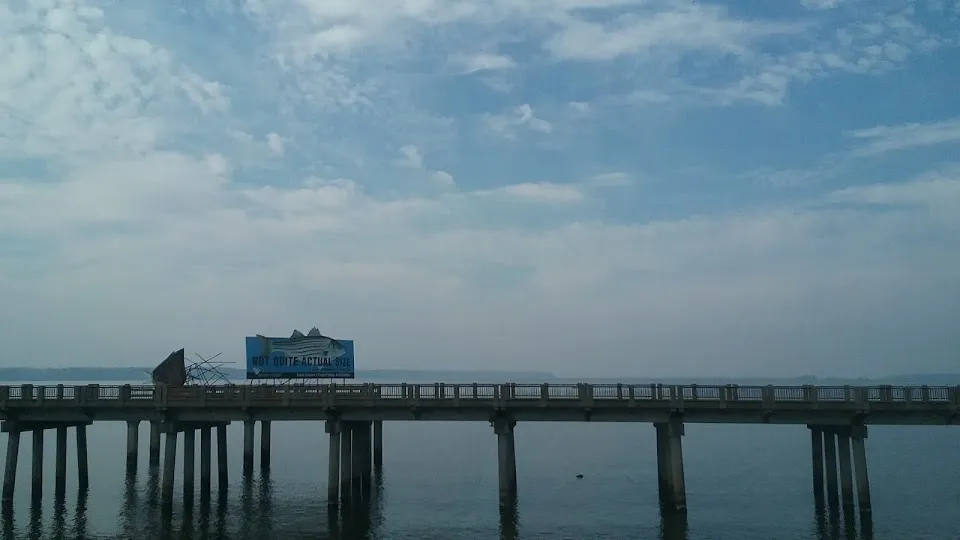Cooper's Landing