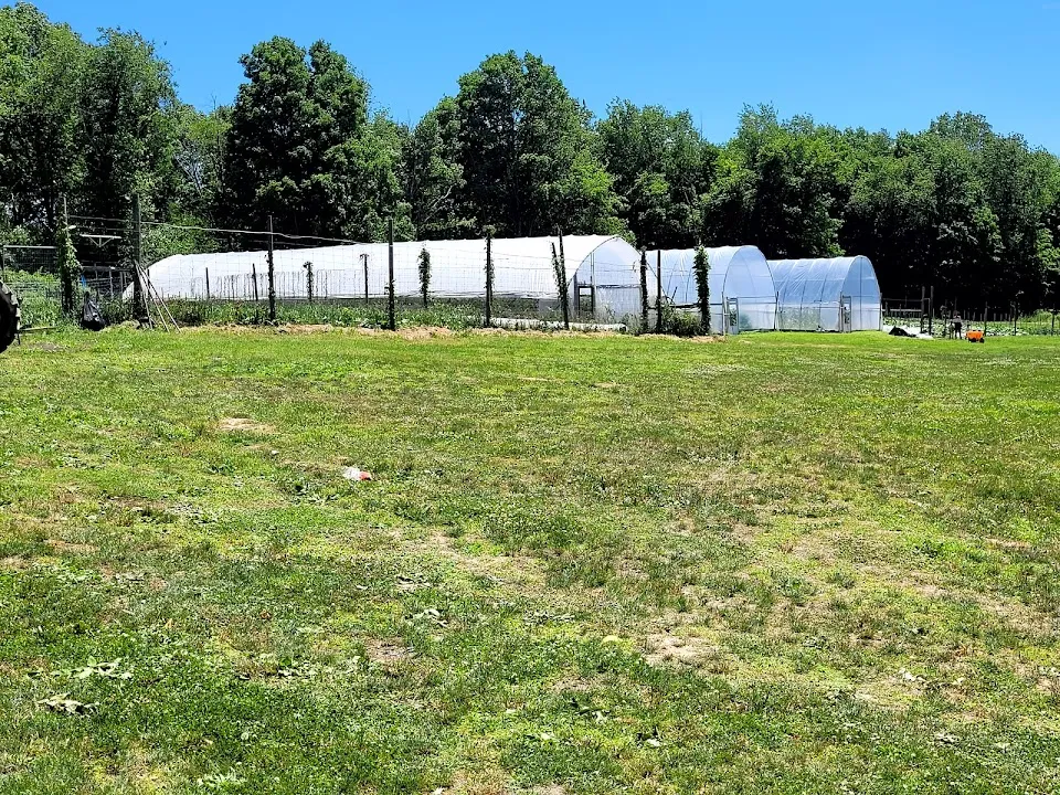 Halal Pastures Farm