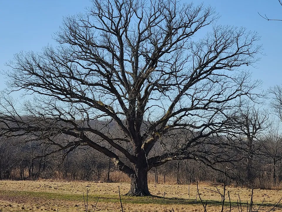 Heritage Trail - Goshen