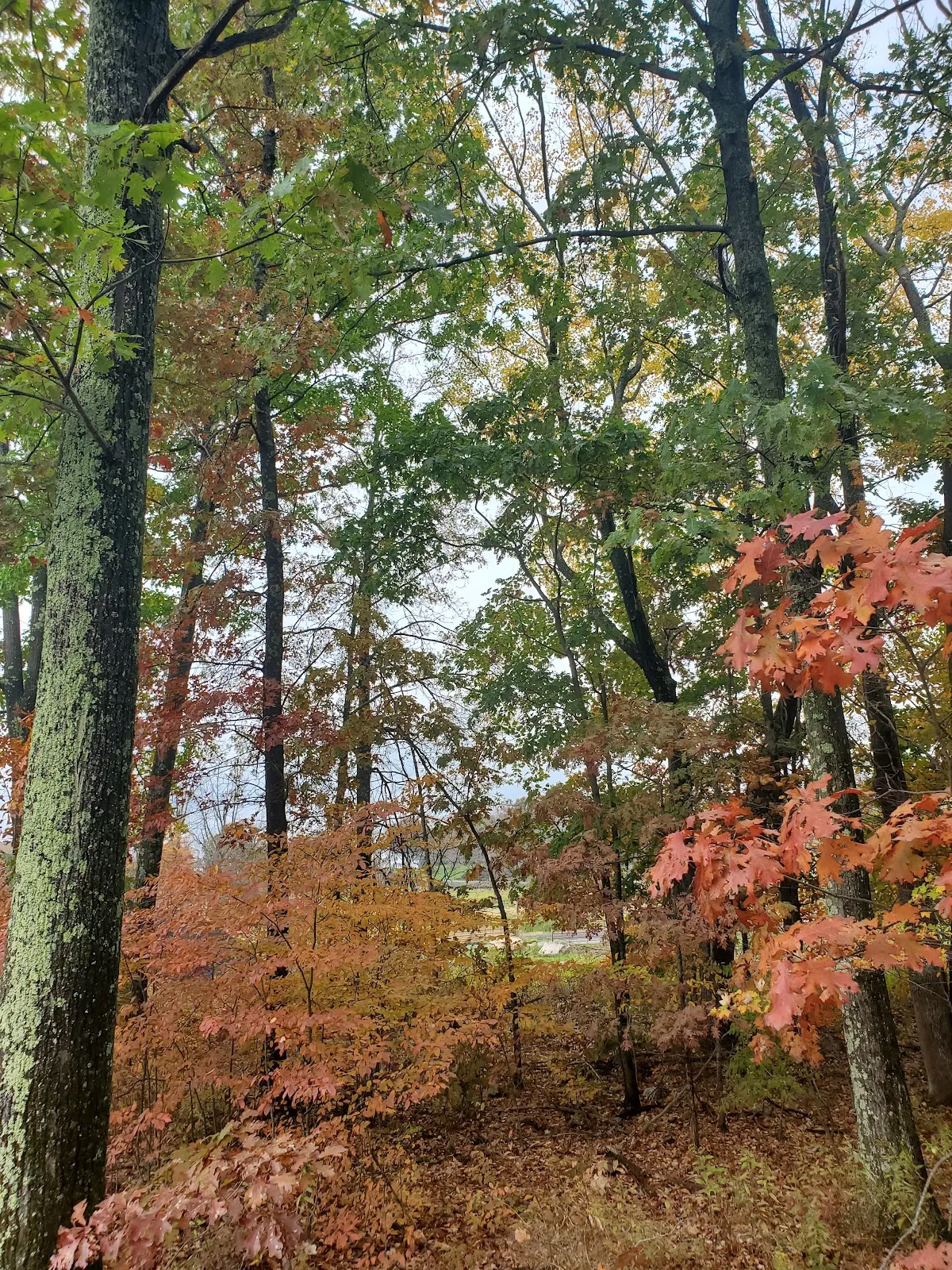 Town of Greenville Park