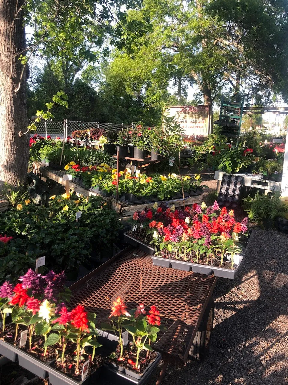 Tanner Nursery