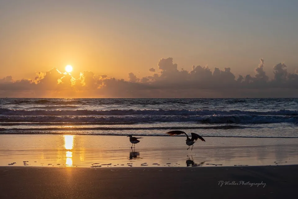 New Smyrna Beach Jetty
