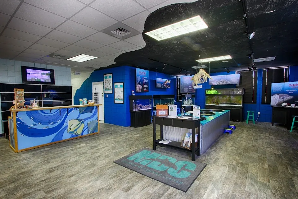 Marine Discovery Center