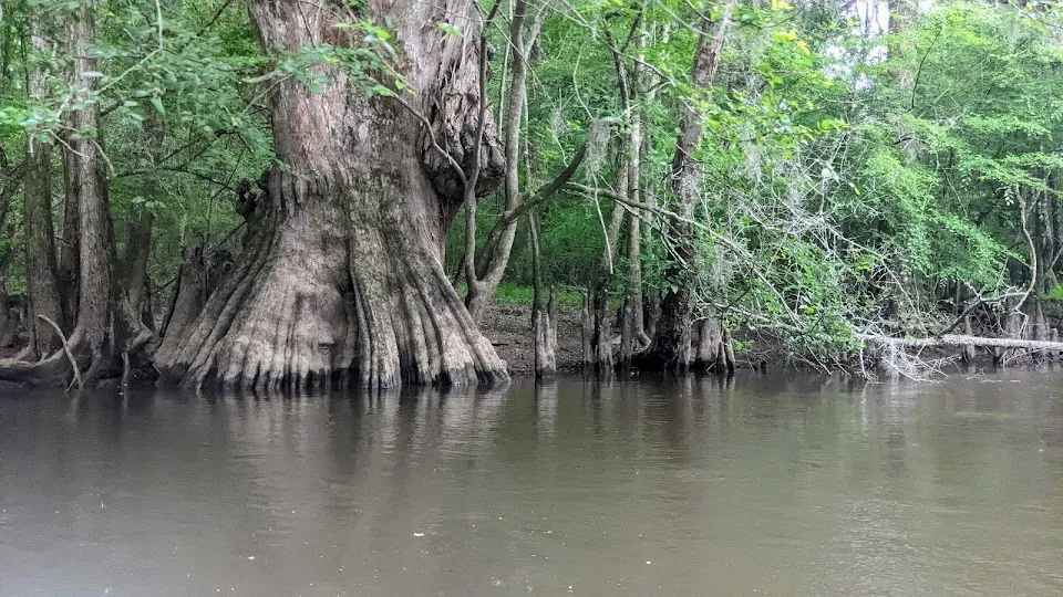 Riverrats Canoe and Kayak Rentals