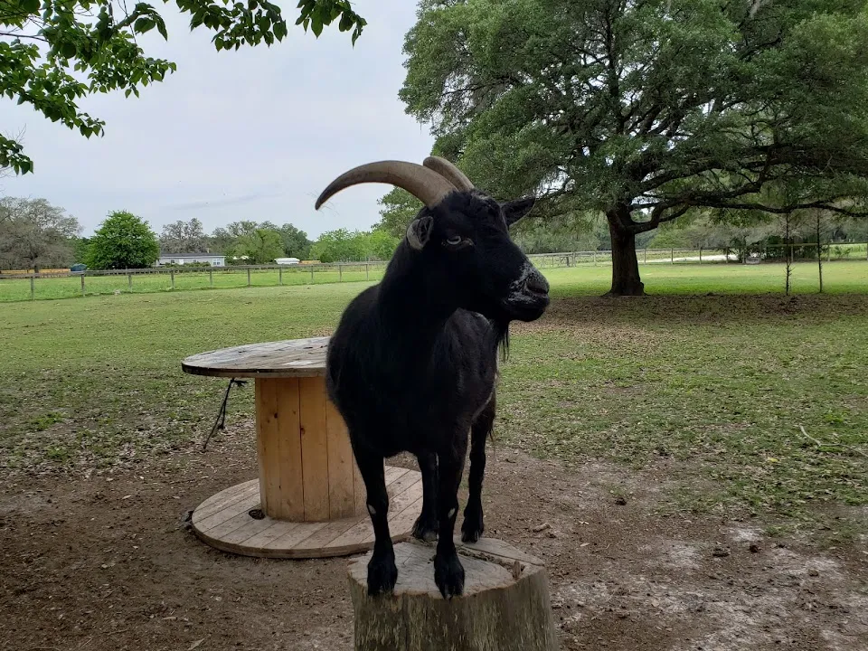 Beasley Farm