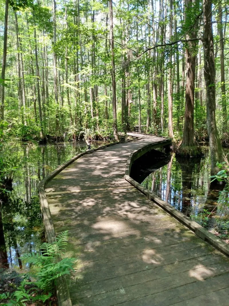 Woods Bay State Park