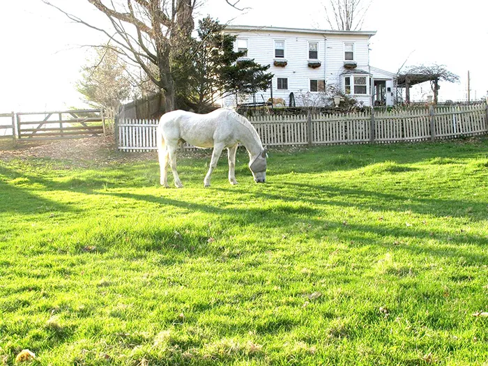 Meadowlark Farm Bed and Breakfast Warwick NY