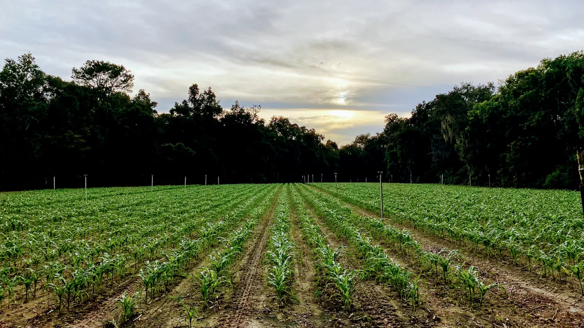 Frazier Farms