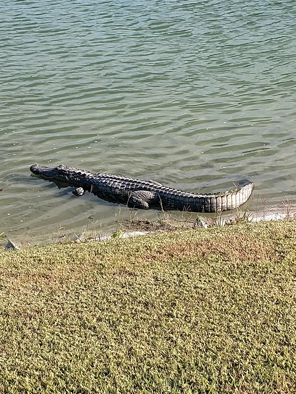 Sherman Hills Golf Club