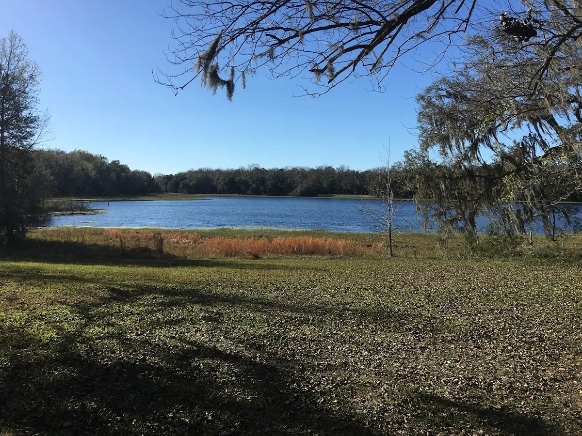 McKethan Lake Recreation Area Withlacoochee State Forest