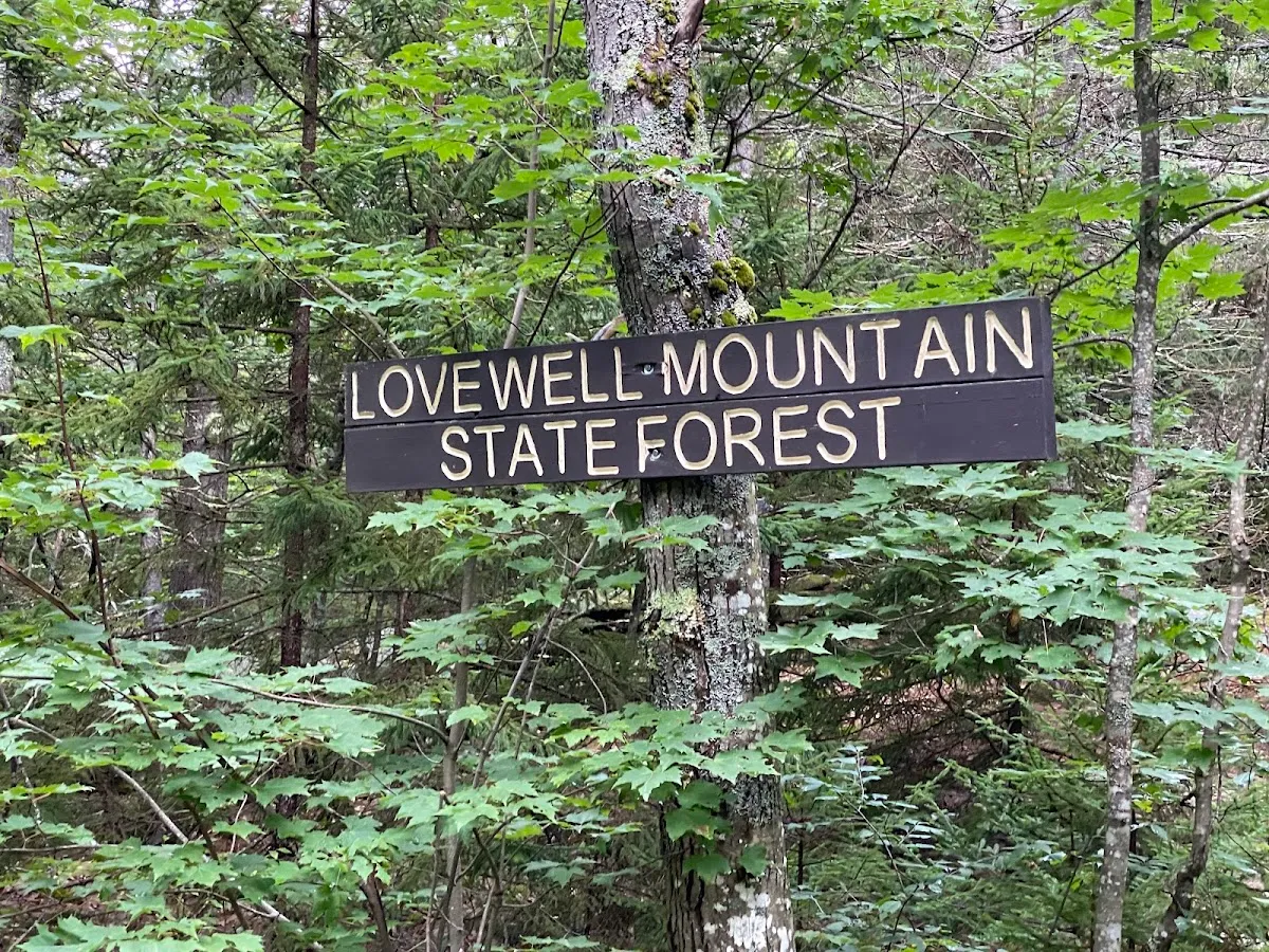 Lovewell Mountain Trail