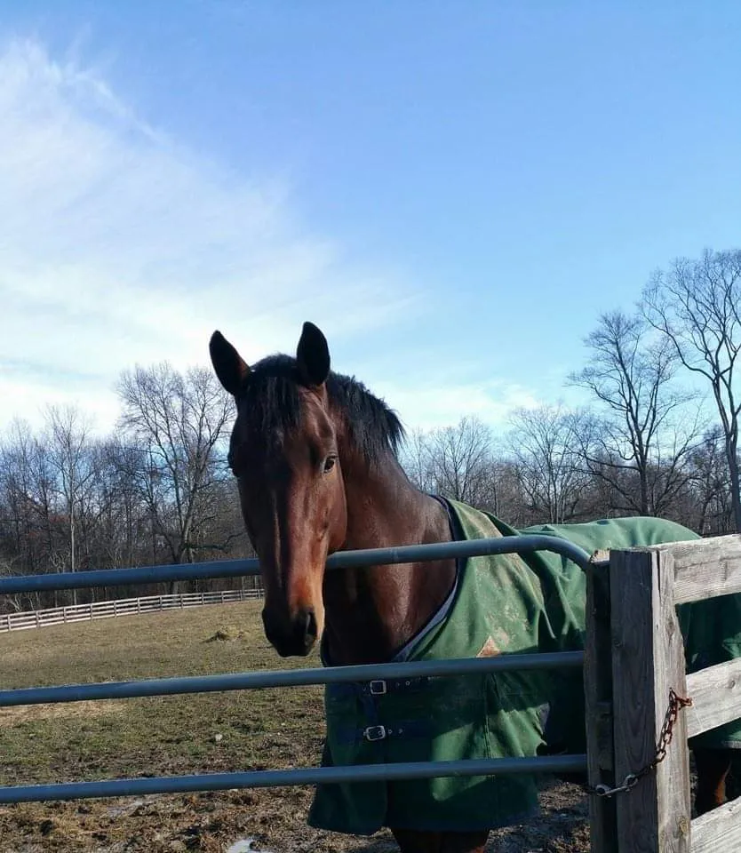 Old Field Farm