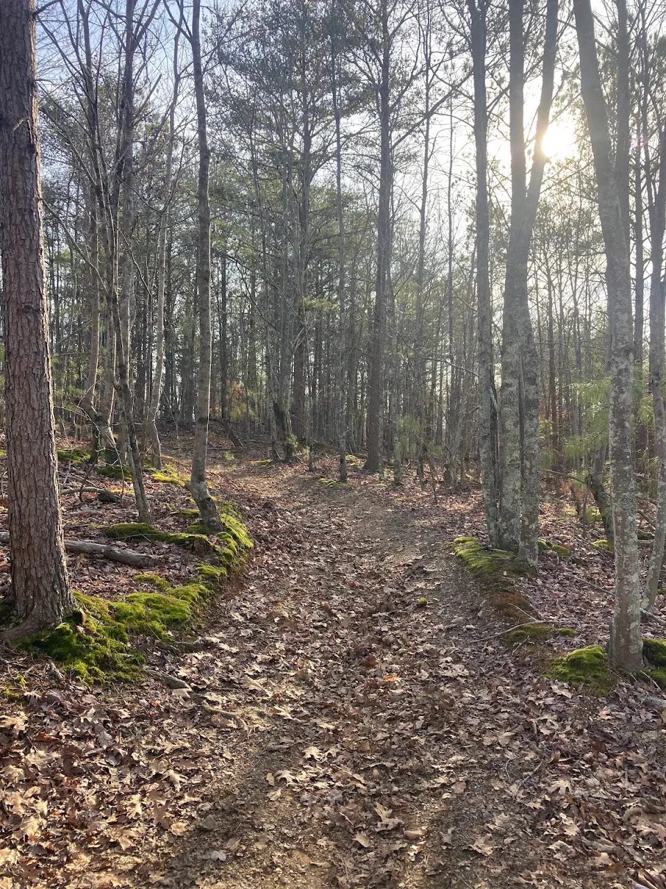 Garland Mountain Horse & Hiking Trails