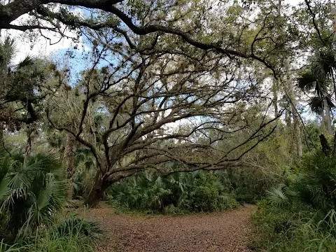 10 Best Trails and Hikes in Port St. Lucie