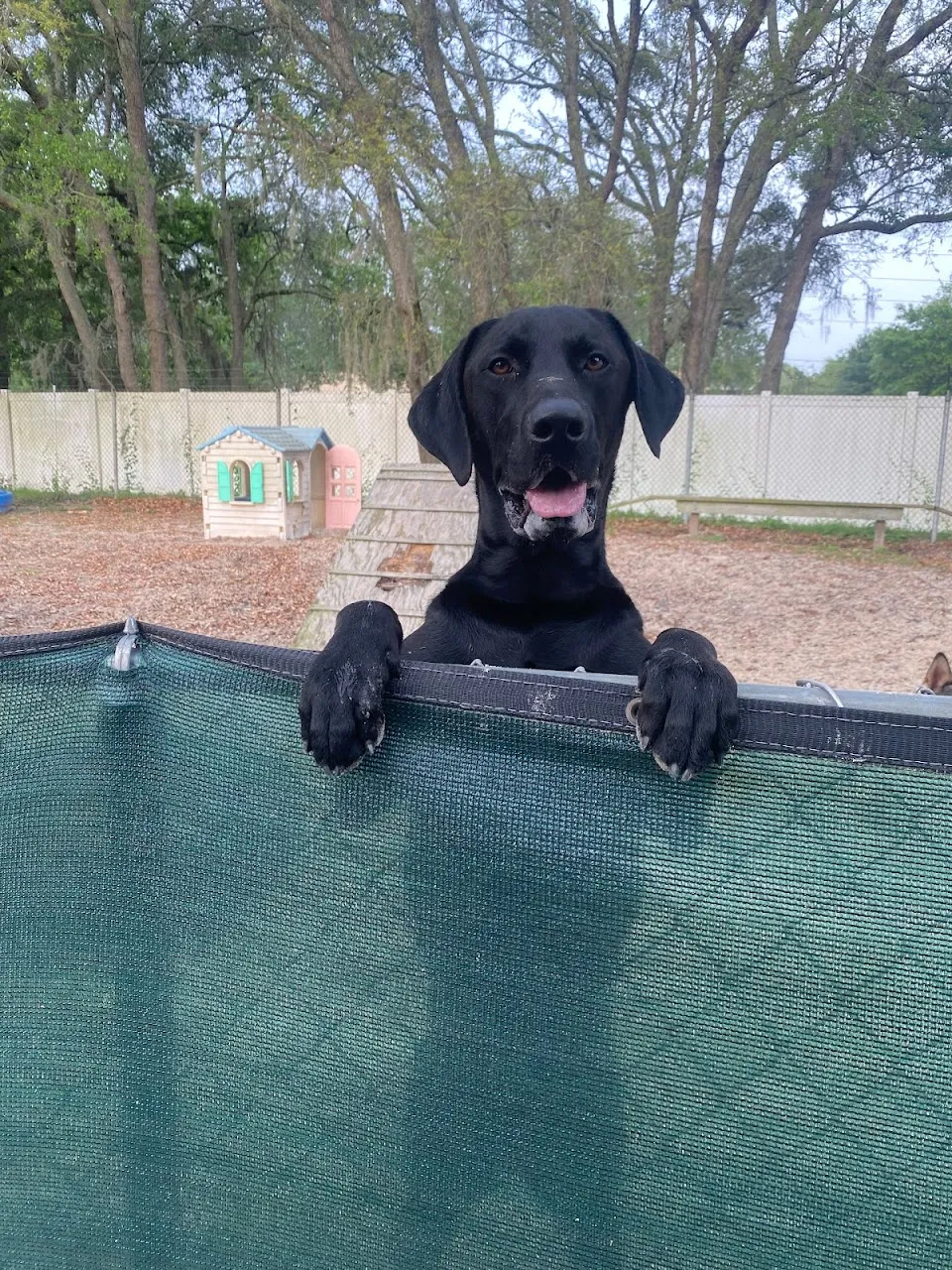Critter Boarding Inc