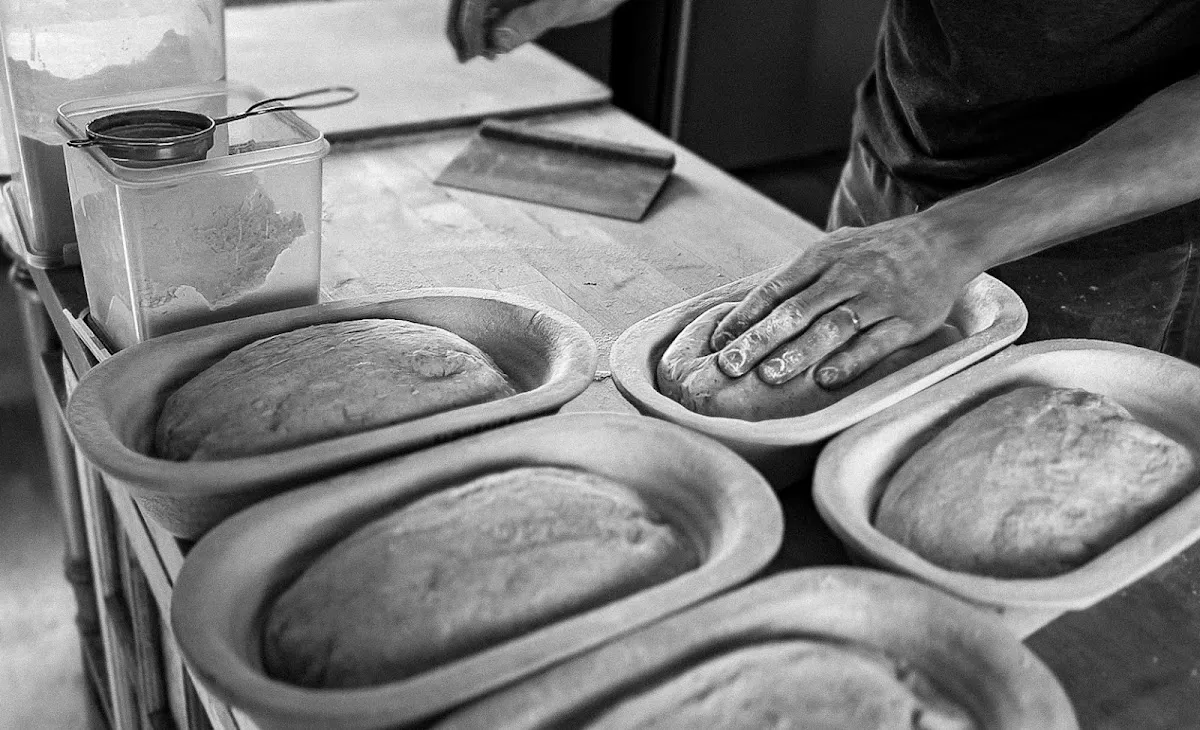 Leavened