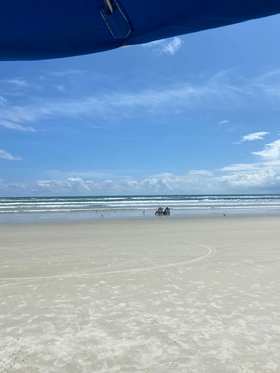 NSB Realty Team