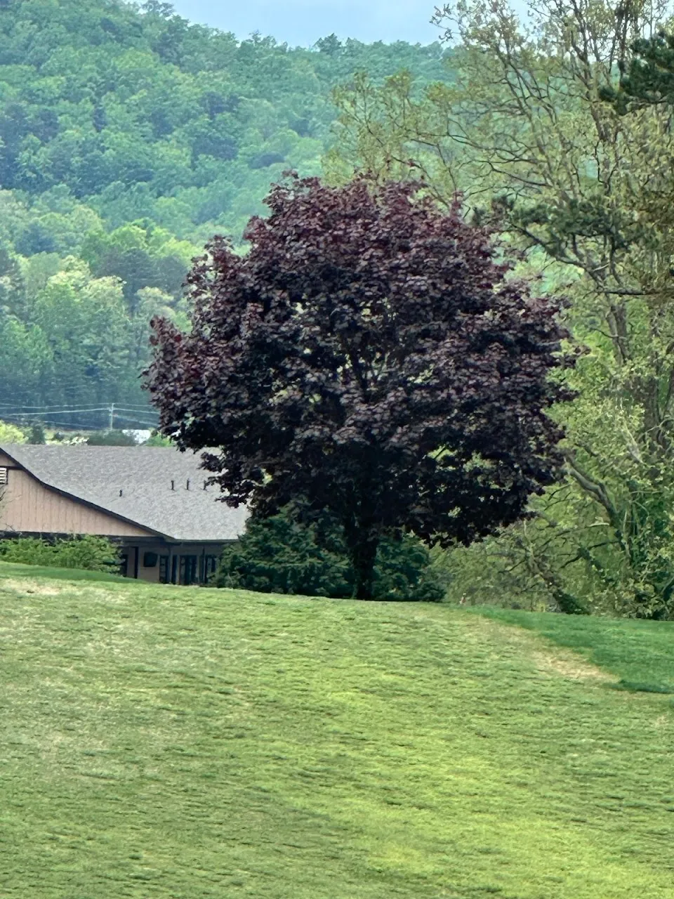 Rabun County Golf Club
