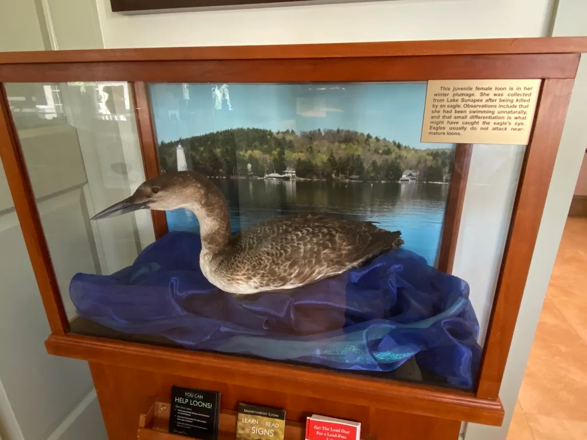 Lake Sunapee Protective Association (LSPA) - Center for Lake Studies