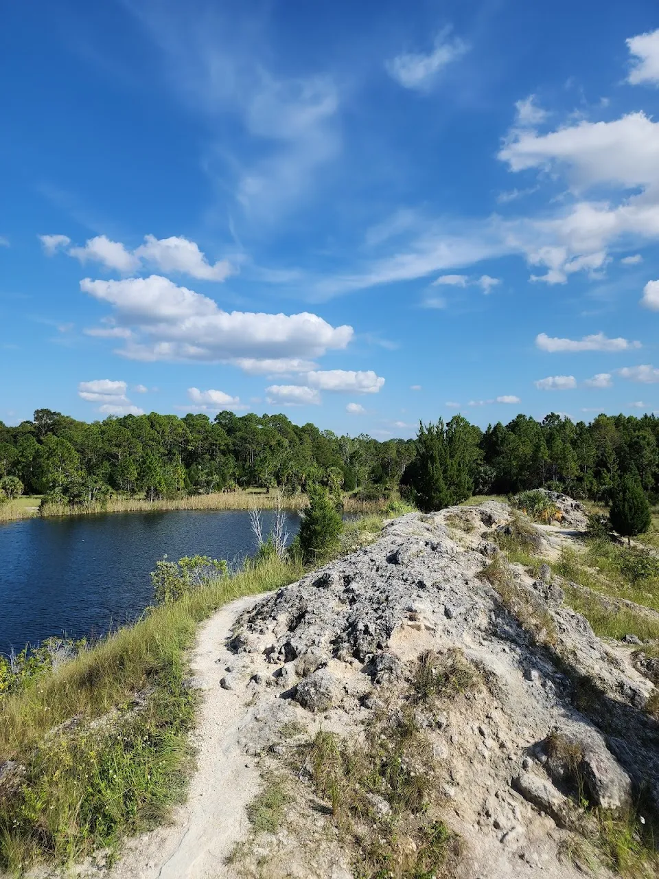 Aripeka Sandhills Preserve
