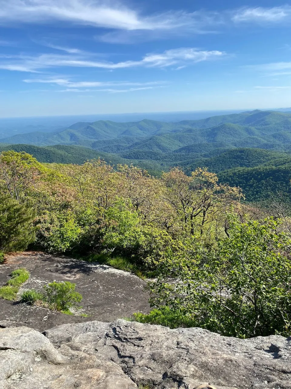 Appalachian Trail in Georgia