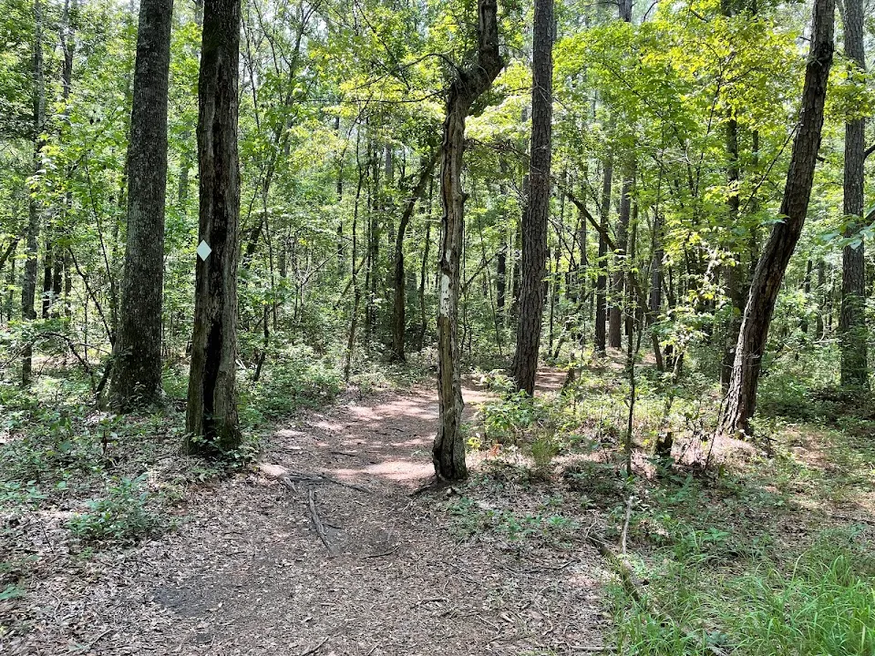Lake Moultrie Passage Trailhead