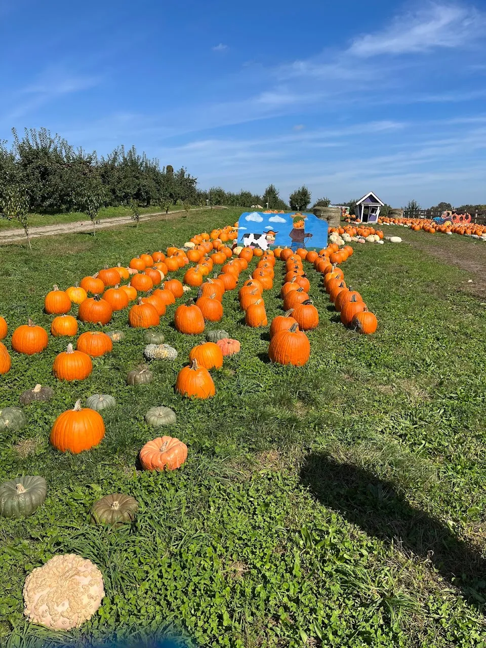 Apple Ridge Orchards