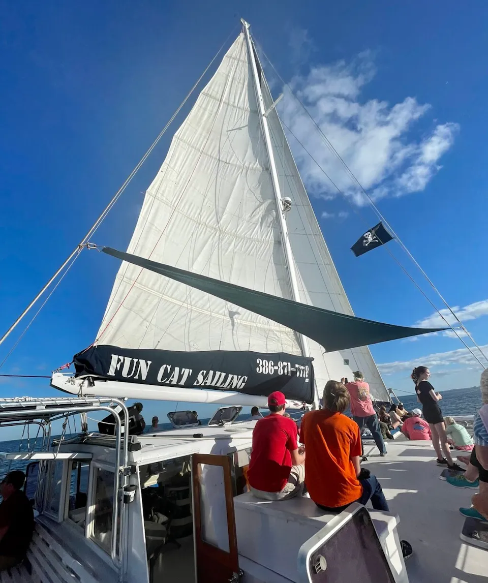 Fun Cat Sailing