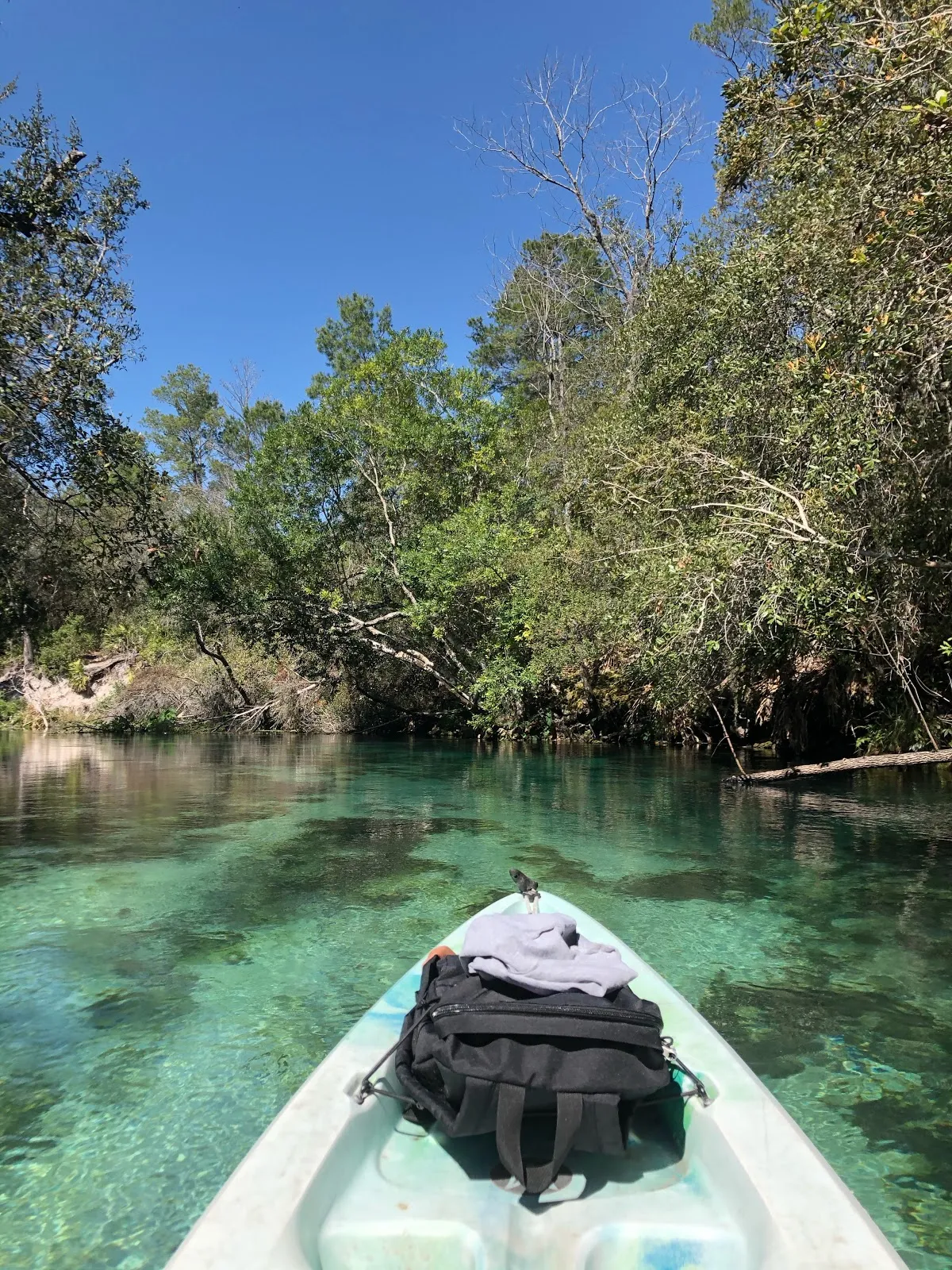 Weeki Wachee River