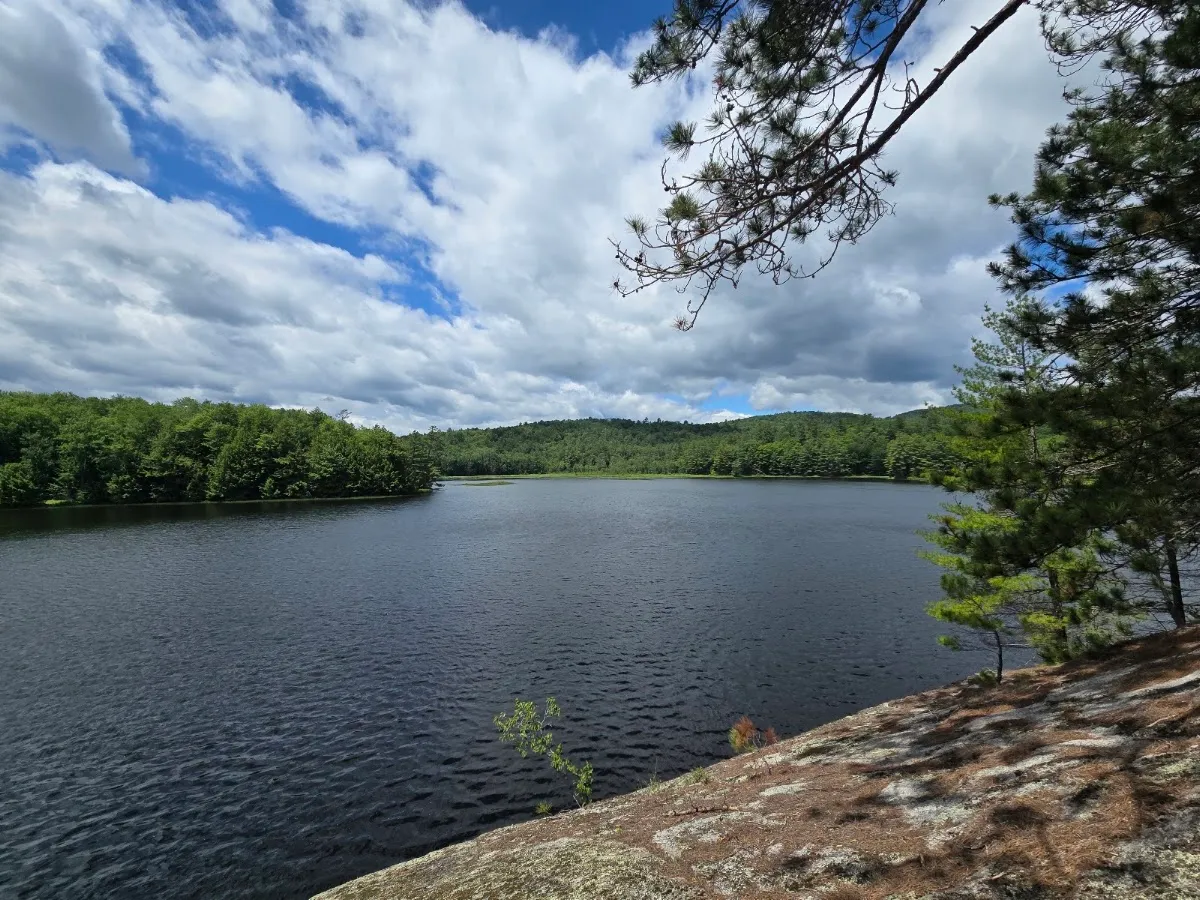 Butternut Pond Trailhead