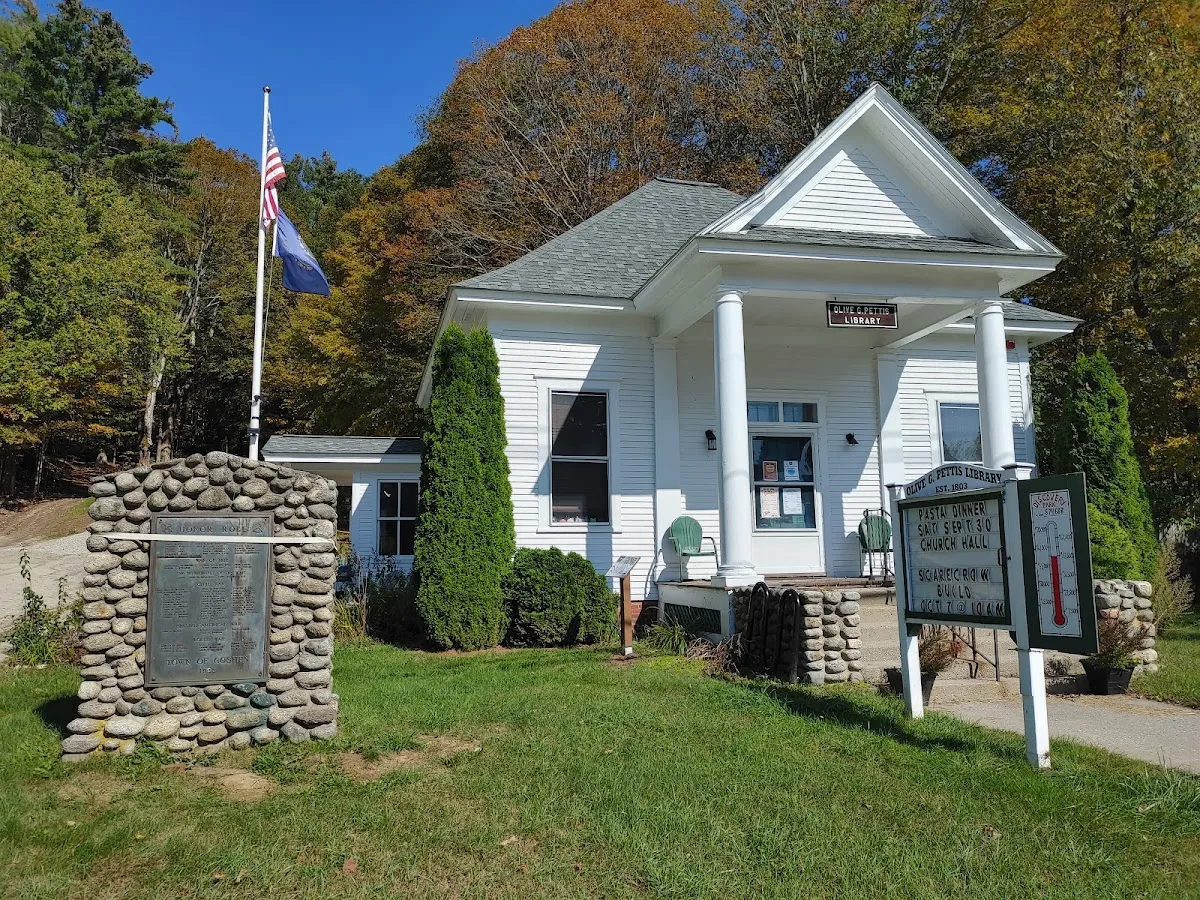 Olive G Pettis Library