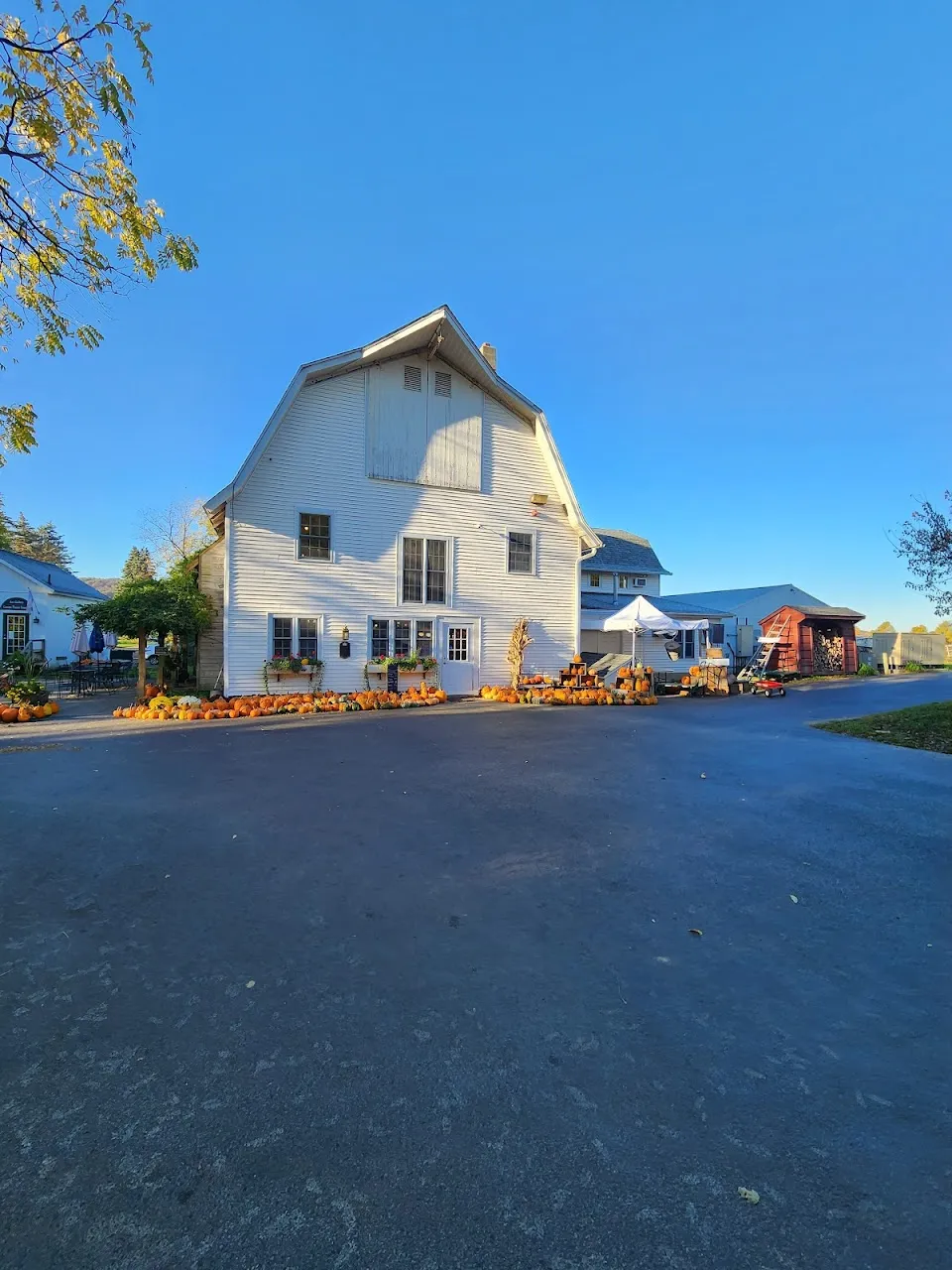 Jones Farm