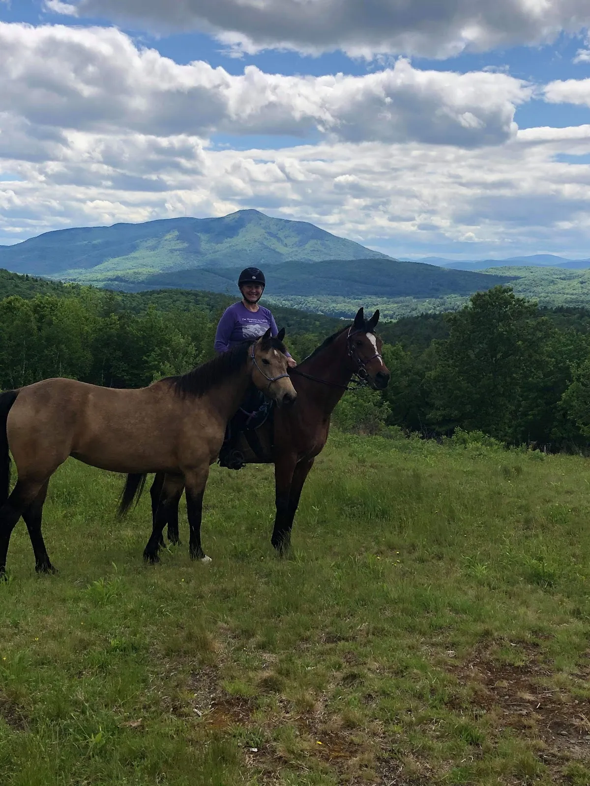 Langwood Farm/Top of the World