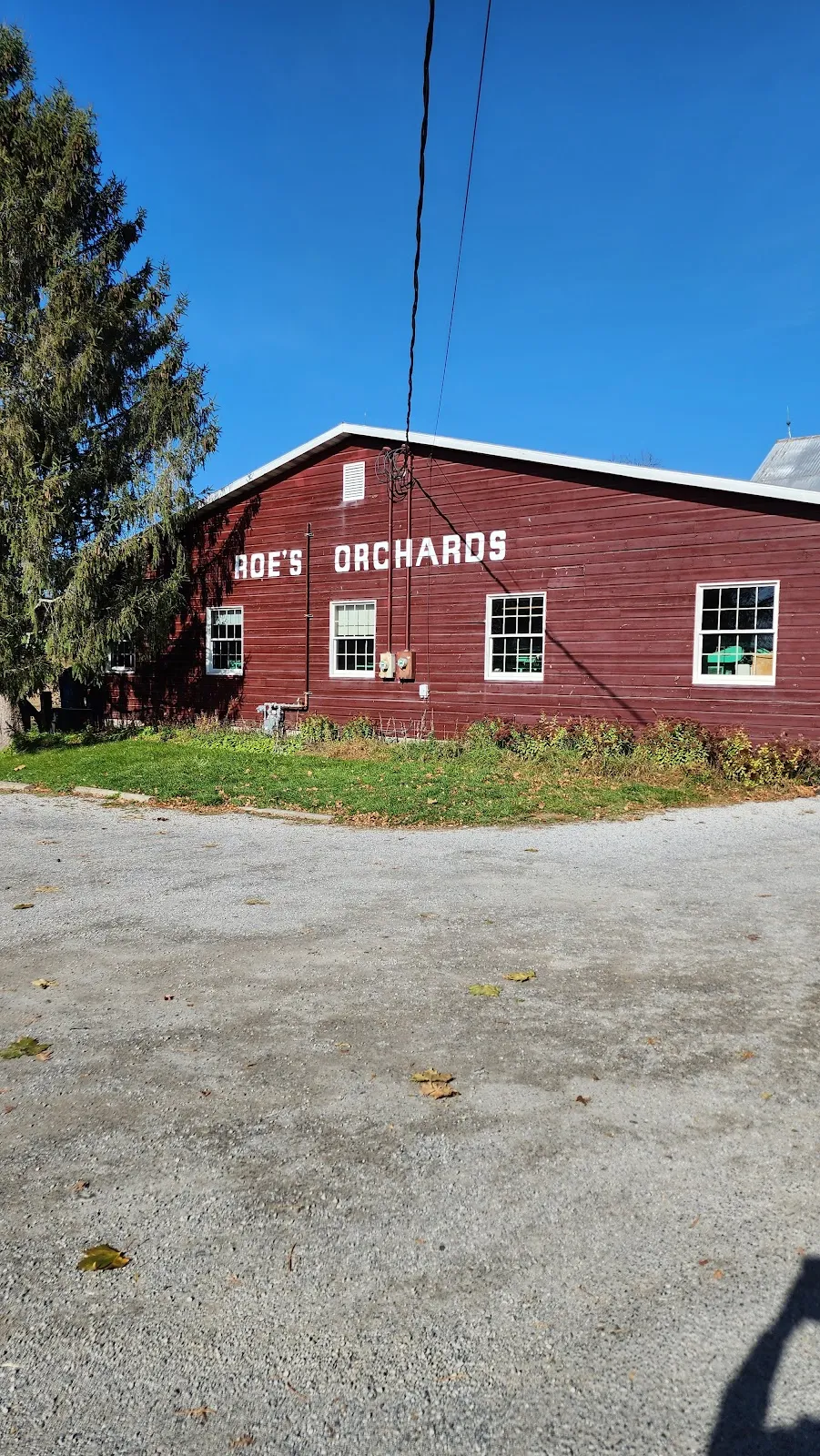 Roe's Orchard