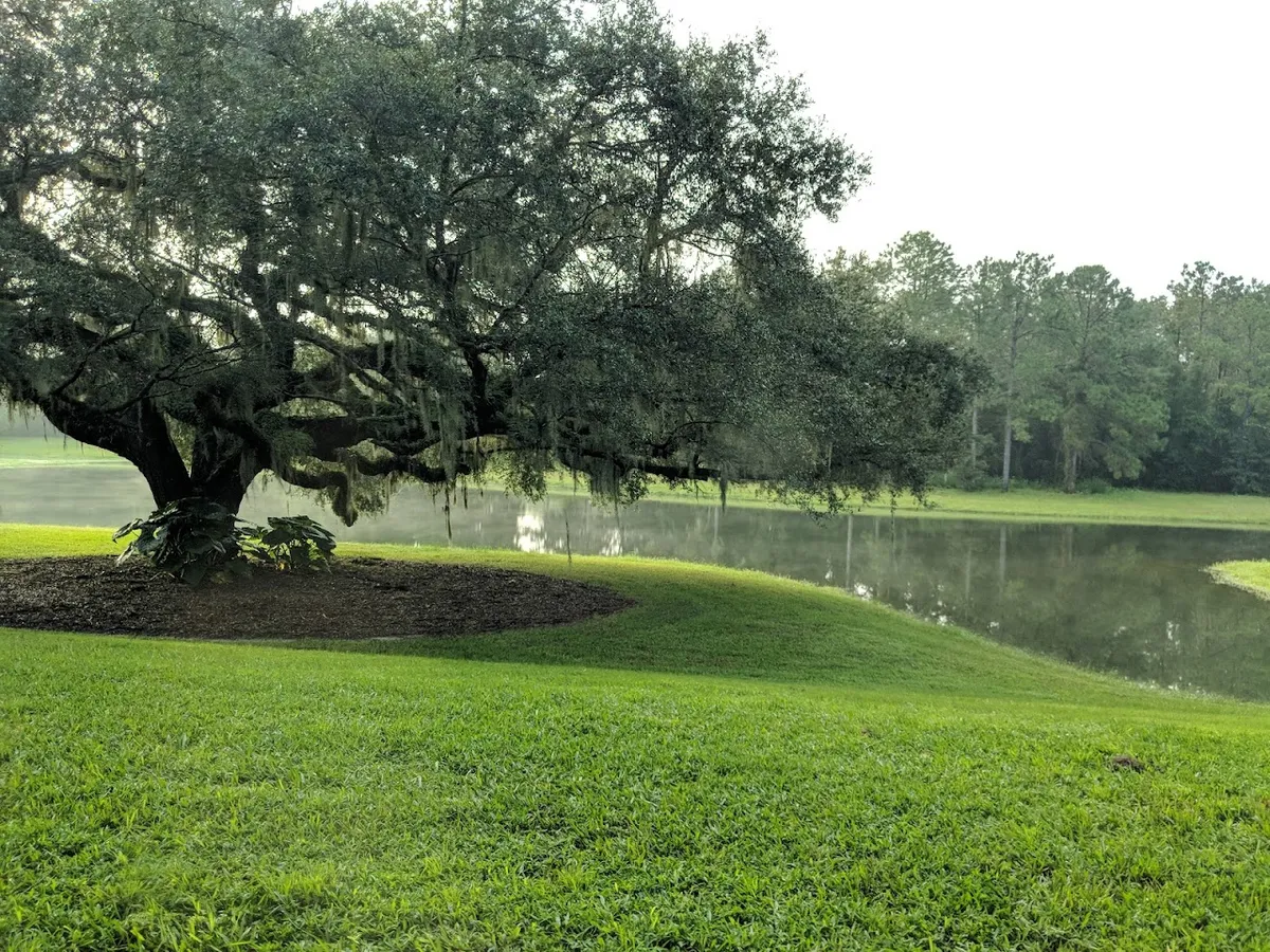 Cabot Citrus Farms