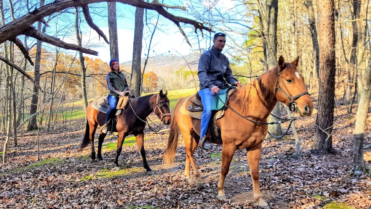 Bregman's Pleasure Horses