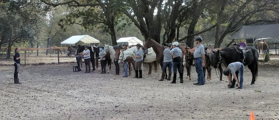 Southern Skies Ranch