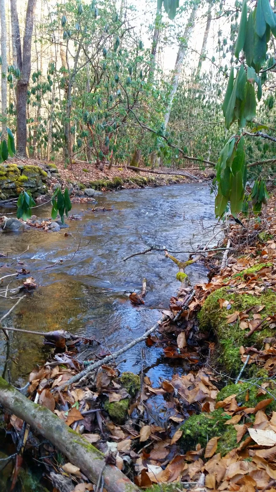 Nantahala Game Lands