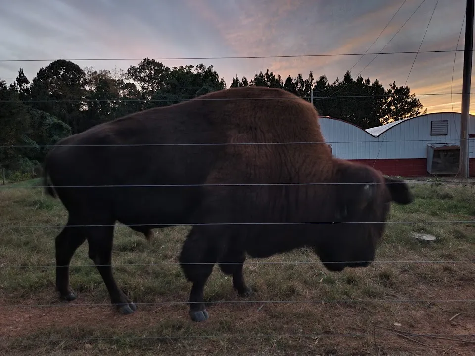 Bison Trail RV Park/Piedmont Bison Ranch