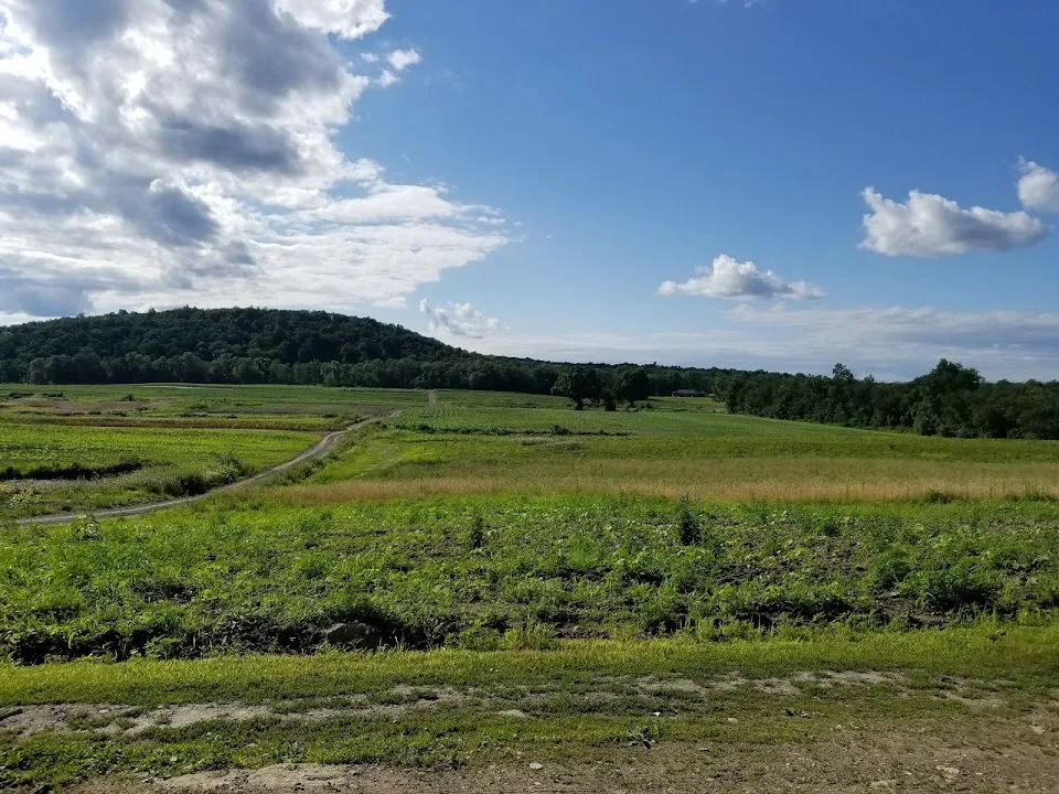 Sycamore Farms